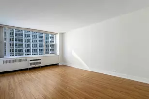 4250 N Marine Dr, Chicago, IL 60613 - Photo 18