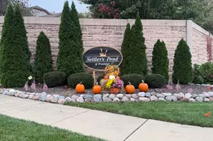 21336 Settlers Pond Dr, Frankfort, IL 60423 - Photo 2