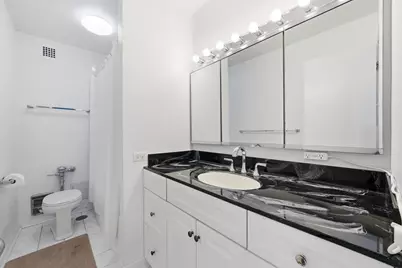 535 N Michigan Avenue #2305, Chicago, IL 60611 - Photo 14