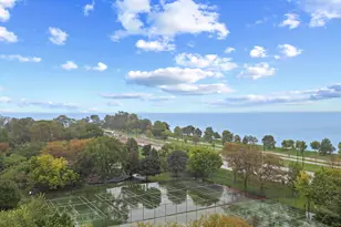5300 S Shore Dr, Chicago, IL 60615 - Photo 8