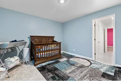 25761 Springside Street, Plainfield, IL 60586 - Photo 26