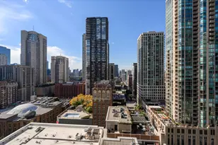 55 E Erie St, Chicago, IL 60611 - Photo 18