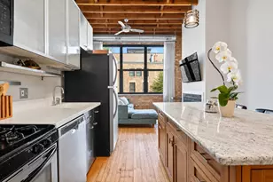 3201 N Seminary Ave, Chicago, IL 60657 - Photo 4