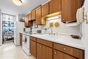 100 E Walton St, Chicago, IL 60611 - Photo 6