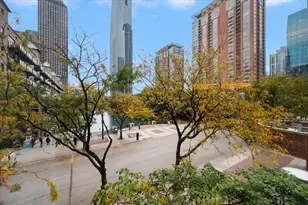 480 N McClurg Ct, Chicago, IL 60611 - Photo 16