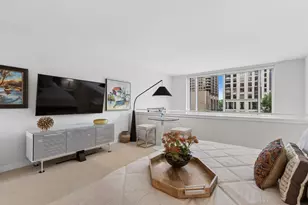 505 N McClurg Ct, Chicago, IL 60611 - Photo 20