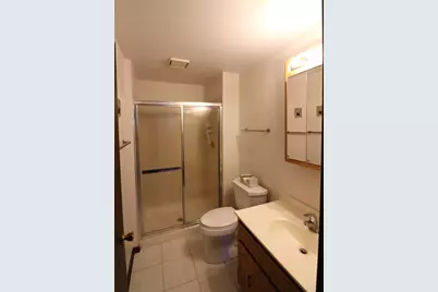 17012 Grissom Drive, Tinley Park, IL 60477 - Photo 22