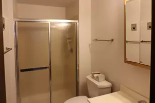 17012 Grissom Dr, Tinley Park, IL 60477 - Photo 22