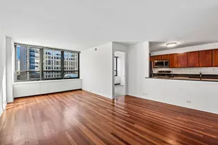 222 E Pearson St, Chicago, IL 60611 - Photo 4