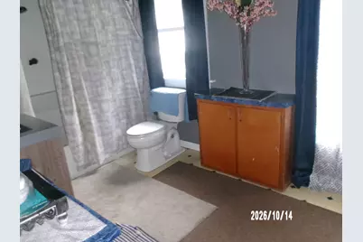 319 W Park Avenue, Watseka, IL 60970 - Photo 22