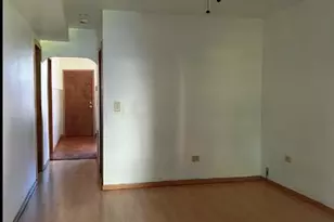 941 W 34th St, Chicago, IL 60608 - Photo 6