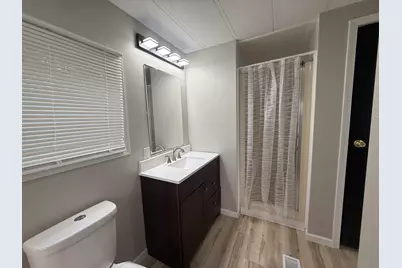 313 Briarbranch Road, Matteson, IL 60443 - Photo 6