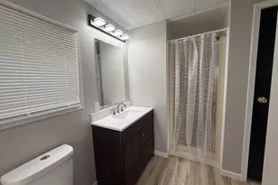 313 Briarbranch Rd, Matteson, IL 60443 - Photo 6
