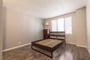 801 S Plymouth Ct, Chicago, IL 60605 - Photo 18
