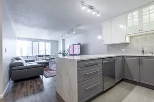 801 S Plymouth Ct, Chicago, IL 60605 - Photo 4