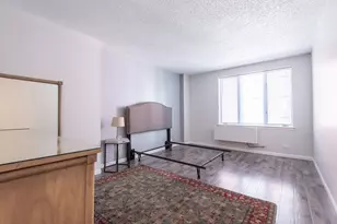 801 S Plymouth Ct, Chicago, IL 60605 - Photo 16