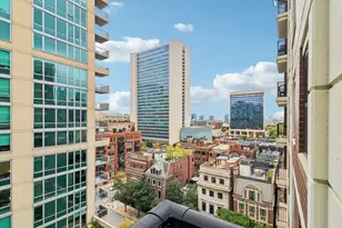 451 W Huron St, Chicago, IL 60654 - Photo 18