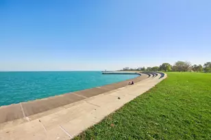 656 E Bowen Ave, Chicago, IL 60653 - Photo 46