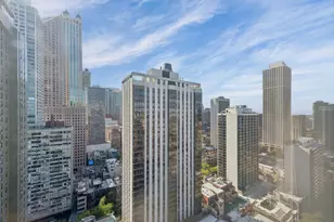 1100 N Lake Shore Dr, Chicago, IL 60611 - Photo 10