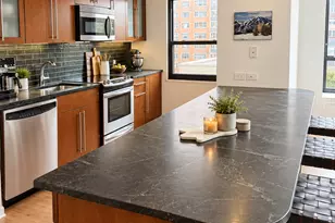 1313 N Ritchie Ct, Chicago, IL 60610 - Photo 2