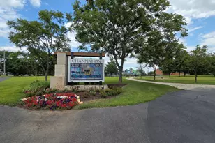 24821 S River Trail, Channahon, IL 60410 - Photo 66