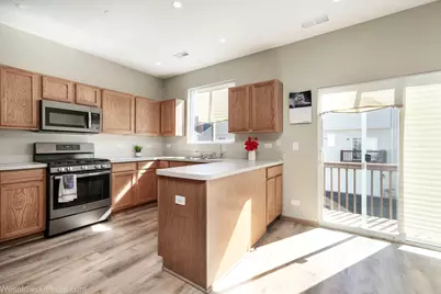 107 Terra Springs Drive, Volo, IL 60020 - Photo 18