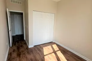 328 E 25th Pl, Chicago, IL 60616 - Photo 16