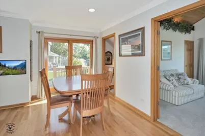 9211 Frances Lane, Orland Park, IL 60462 - Photo 10