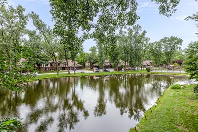 8127 Chestnut Drive #58C, Palos Hills, IL 60465 - Photo 4