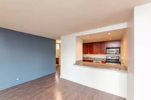 30 E Huron St, Chicago, IL 60611 - Photo 4
