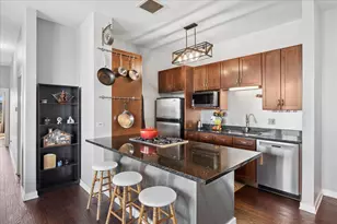 1621 S Halsted St, Chicago, IL 60608 - Photo 2