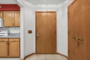 10 S Wille St, Mount Prospect, IL 60056 - Photo 20