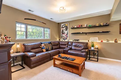 38114 N Dewey Street, Spring Grove, IL 60081 - Photo 18