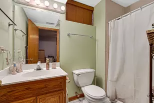 9316 S 54th Ave, Oak Lawn, IL 60453 - Photo 14