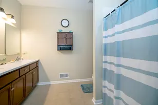 13844 W Crescenzo Dr, Manhattan, IL 60442 - Photo 22
