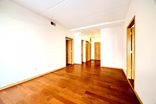 2322 S Canal St, Chicago, IL 60616 - Photo 4