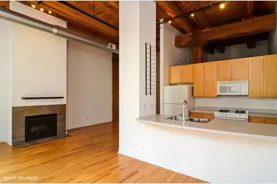 521 W Superior Street #433, Chicago, IL 60654 - Photo 2