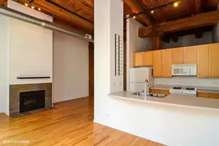 521 W Superior St, Chicago, IL 60654 - Photo 2