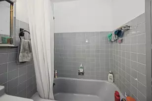 1150 N Lake Shore Dr, Chicago, IL 60611 - Photo 12
