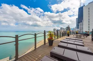1150 N Lake Shore Dr, Chicago, IL 60611 - Photo 22
