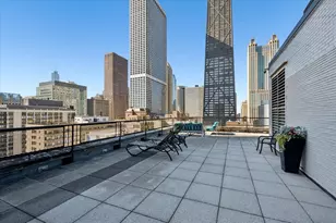 253 E Delaware Pl, Chicago, IL 60611 - Photo 18