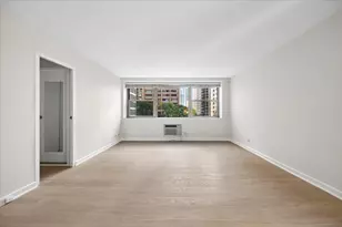 253 E Delaware Pl, Chicago, IL 60611 - Photo 6