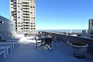 222 E Pearson St, Chicago, IL 60611 - Photo 14