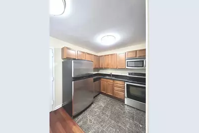 222 E Pearson Street #1107, Chicago, IL 60611 - Photo 4