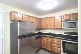 222 E Pearson St, Chicago, IL 60611 - Photo 4