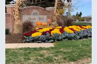 30W101 Willow Lane #B, Warrenville, IL 60555 - Photo 30