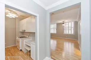 330 S Michigan Ave, Chicago, IL 60604 - Photo 4