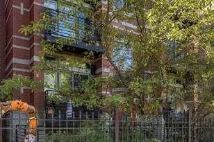 4226 N Ashland Ave, Chicago, IL 60613 - Photo 2