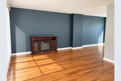 305 Dogwood Street, Park Forest, IL 60466 - Photo 4