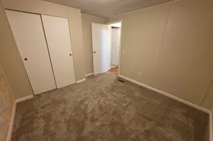 119 W Galaxy Dr, Chicago, IL 62898 - Photo 50